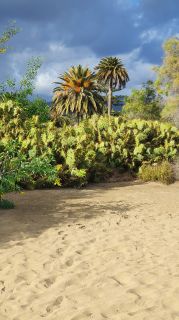 2023-GC--Mapalomas dunas-S123-094.jpg